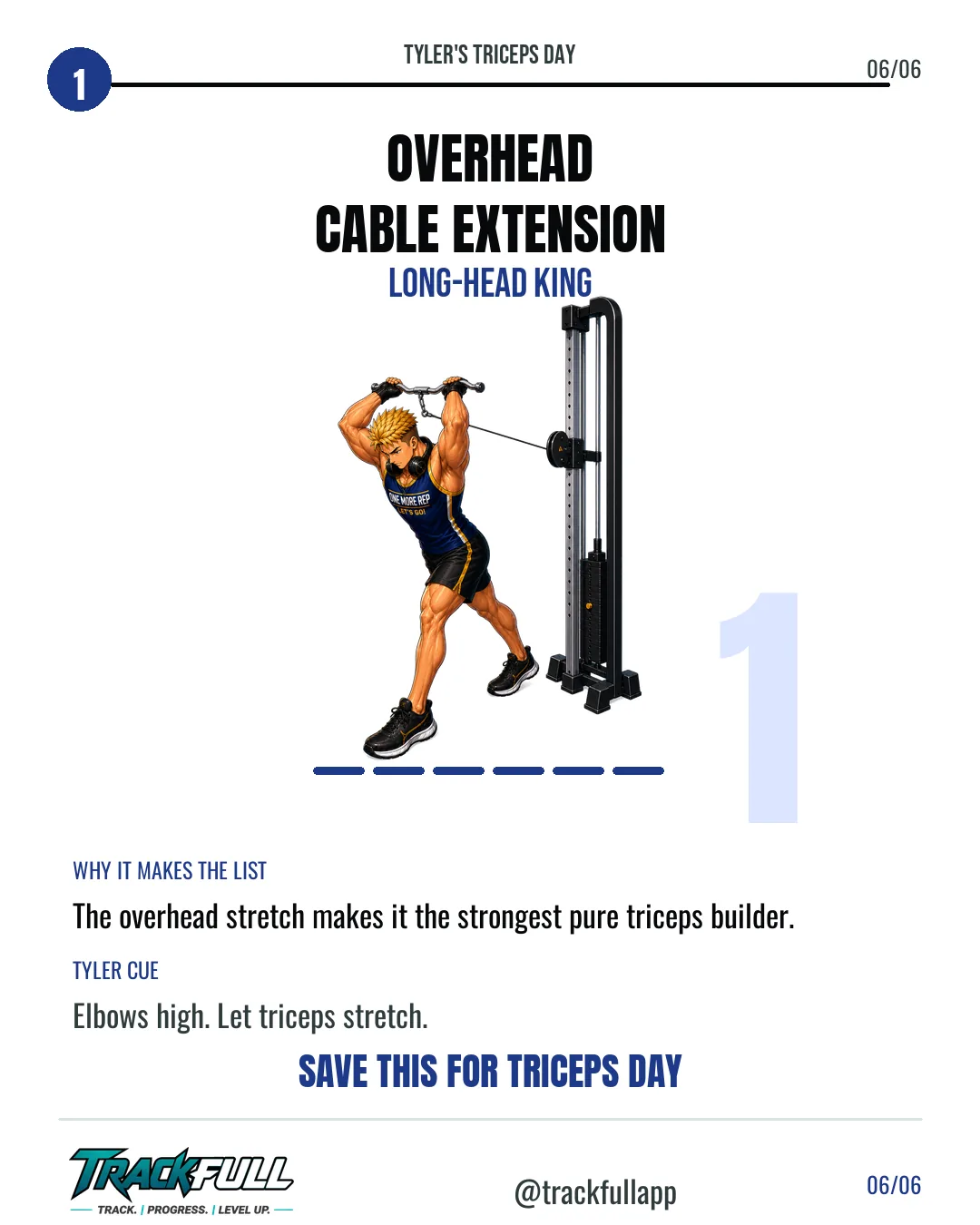 Build Bigger Triceps: Tyler’s Top Builders carousel slide 6: Top 1 Overhead.